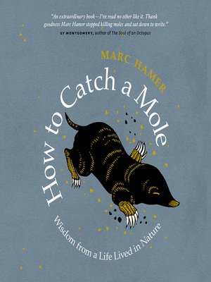 cover image of How to Catch a Mole